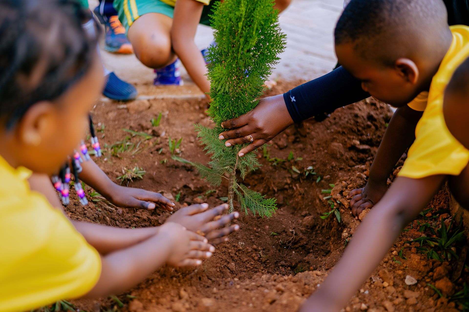 Climate Resilience & Sustainability Climate Resilience & Sustainability